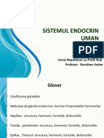 Sistemul Endocrin Uman