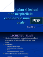 CURS 7-LICHENUL PLAN SI LEZIUNI ALBE NEEPITELIALE