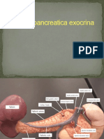 Secretia Pancreatica+bila