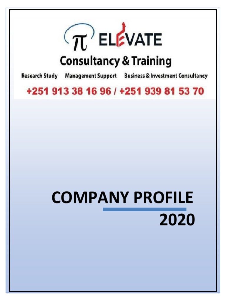 ELEVATE Consultancy Company Profile 2020 | PDF | Bachelor's Degree ...