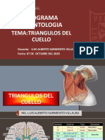 Triángulos del cuello: anatomía y contenido