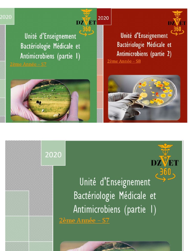 Bacteriologie Medicale Et Antimicrobiens Partie 1 2 Dzvet360 Cours Veterinaires Pdf Staphylococcus Escherichia Coli