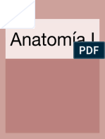 1.1 Anatomía I PDF