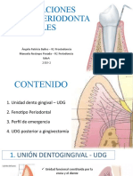 Relaciones dentoperiodontales: anatomía y significado clínico