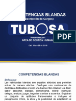 INFORME DE COMPETENCIAS BLANDAS (1)