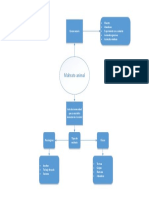 Mapa Conceptual PDF