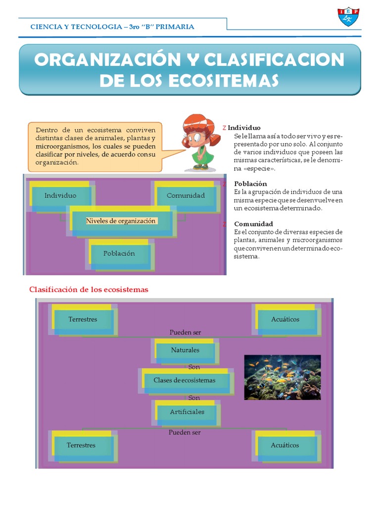 Organización de Ecosistemas y Cambio Climático | PDF | Ecosistema ...
