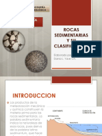 Rocas Sedimentarias PDF