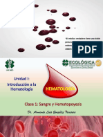 Clase 1 Unidad I SANGRE - HEMATOPOYESIS