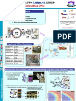 2011 5 SARDANA Poster ONU JL V02 B