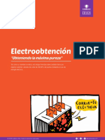 Escolares Electroobtencion