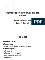 Reproduction in The Canine and Feline: Animal Sciences 434 John J. Parrish