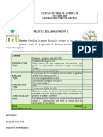 Guia de Laboratorio Virtual Grupos Funcionales