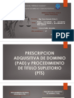 D. Procesal Civil - PAD Y PTS