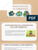 Derecho Ambiental REPARACION DEL DAÑO AMBIENTAL