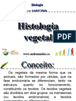 Histologia Vegetal Histologia Vegetal
