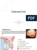 Conjunctiva: Fourth Year Omar Al-Mukhtar Univercity 2019-2020