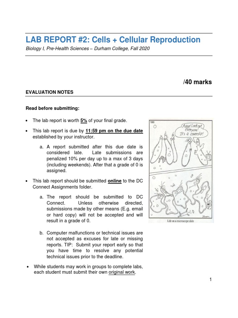 Microscope Lab Report: Cheek Cells Analysis | PDF | Teaching Methods ...