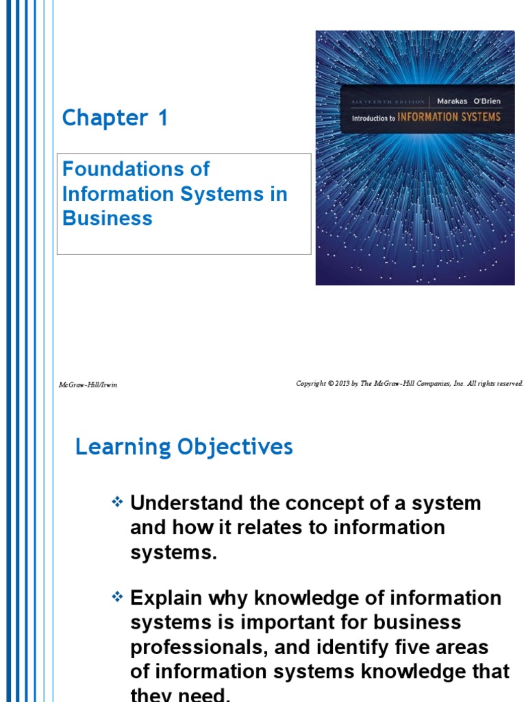 Foundations of Information Systems in Business | PDF | Information ...