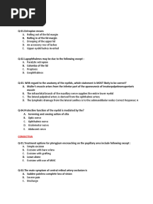 4TH YEAR BCQS Mbbs