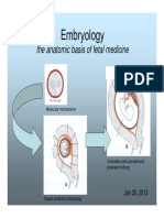 4_Embryology.pdf
