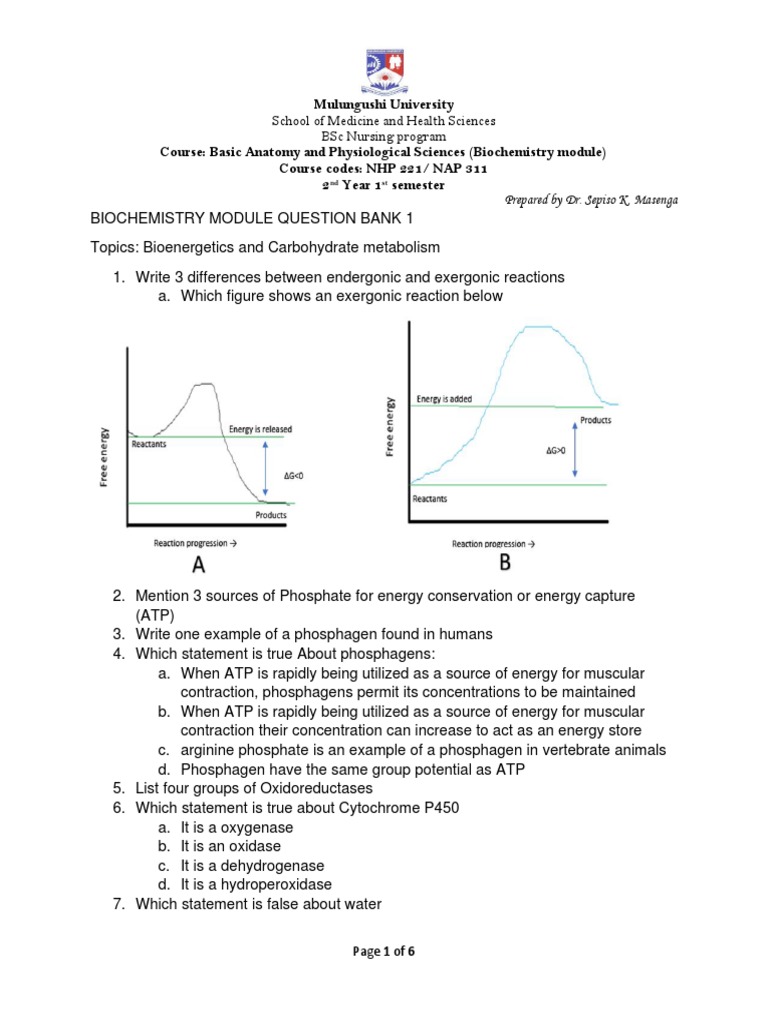 Biochemistry Question Bank for Nursing | PDF | Glycolysis | Cellular ...