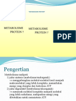 Metabolisme Protein