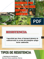 MEJORAMIENTO POR RESISTENCIA Parte P