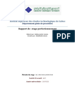 rapport DAPA 1.pdf