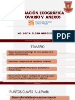 Sesion 6 Ovarios PDF