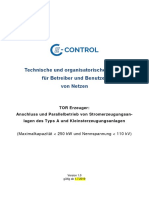 Entwurf TOR Erzeuger V1.0 Typ A PDF