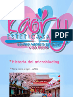 Seminario de Micropigmentacion