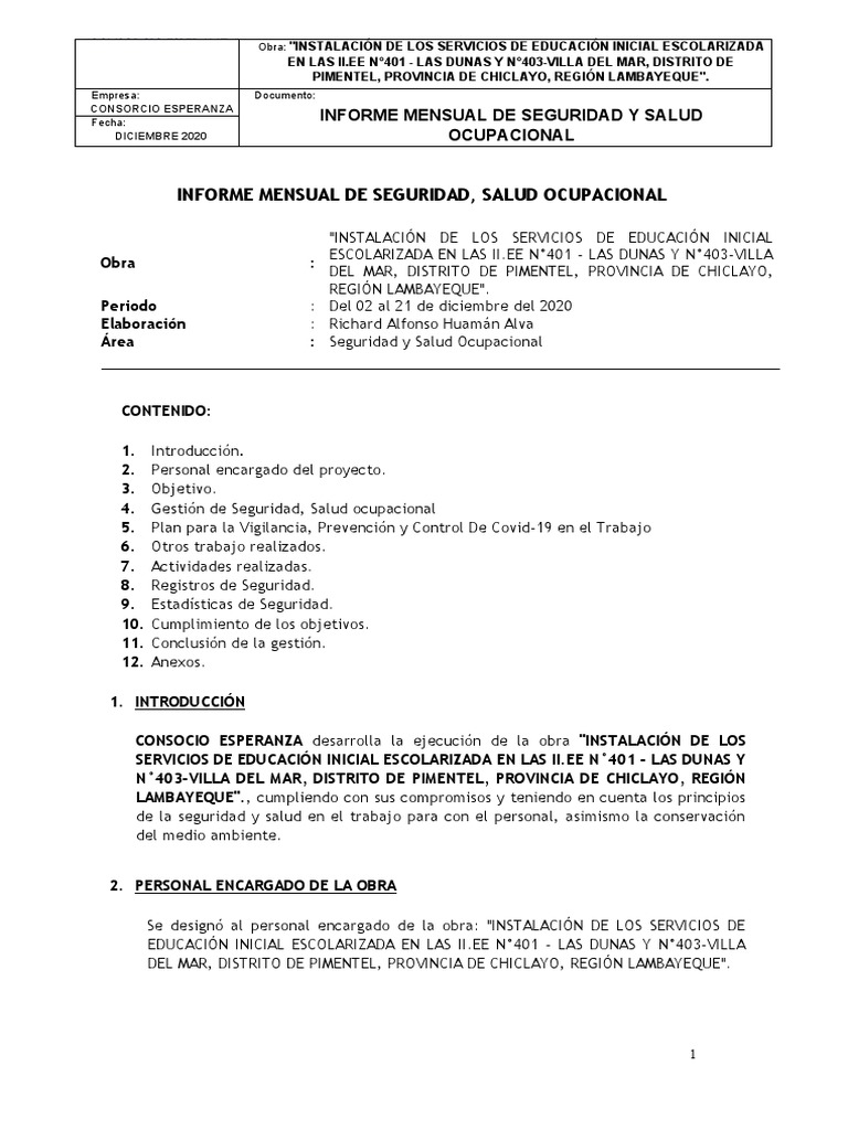Informe Mensual de Seguridad - #01 | PDF | Seguridad y salud ...