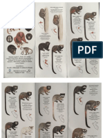 Primates of Peru.pdf