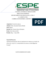 Evaluación Del Periodo Crítico de Interferencia de Fréjol en Urcuquí