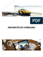 Catalogo de Cauchos Habilead