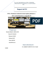 Rapport Du PGI PNIJ