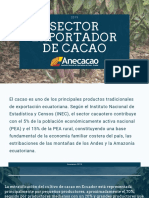 Cacao Ecuador 2019 4 PDF
