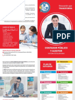 Valle Alto Contador Publico y Auditor Escolarizado PDF