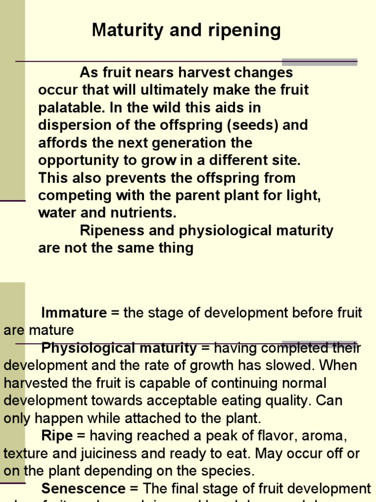Understanding Fruit Maturity and Ripening | PDF