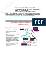 ADN.pdf