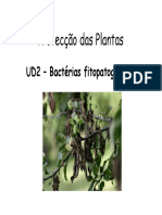 UD2_Bactérias fitopatogénicas.pdf