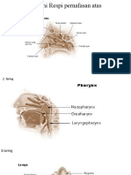 Modul 1 SP Respi