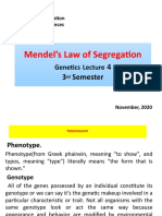 Mendel's Law of Segregation: 4 3 Semester