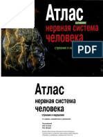 Atlas. Nervous System of Human-Ostapova.pdf