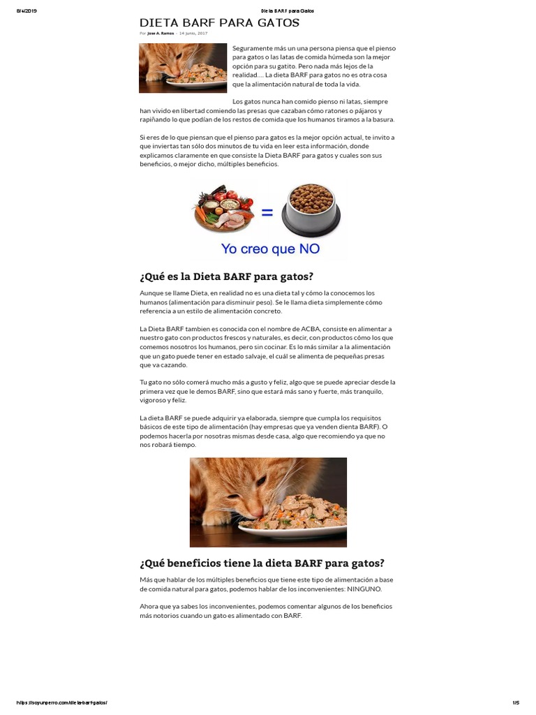 Dieta BARF para Gatos PDF | PDF | Gatos | Alimentos