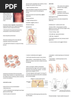 Reeda Score | PDF
