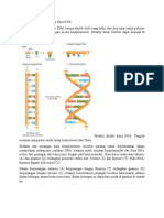 Struktur Dasar Dan Pasangan Basa DNA