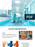 Clase 13 - Cultura Organizacional