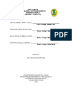 Informe Croissant y Pan